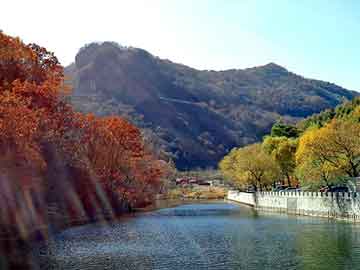 新澳天天开奖资料大全旅游团，劳伦斯净水器